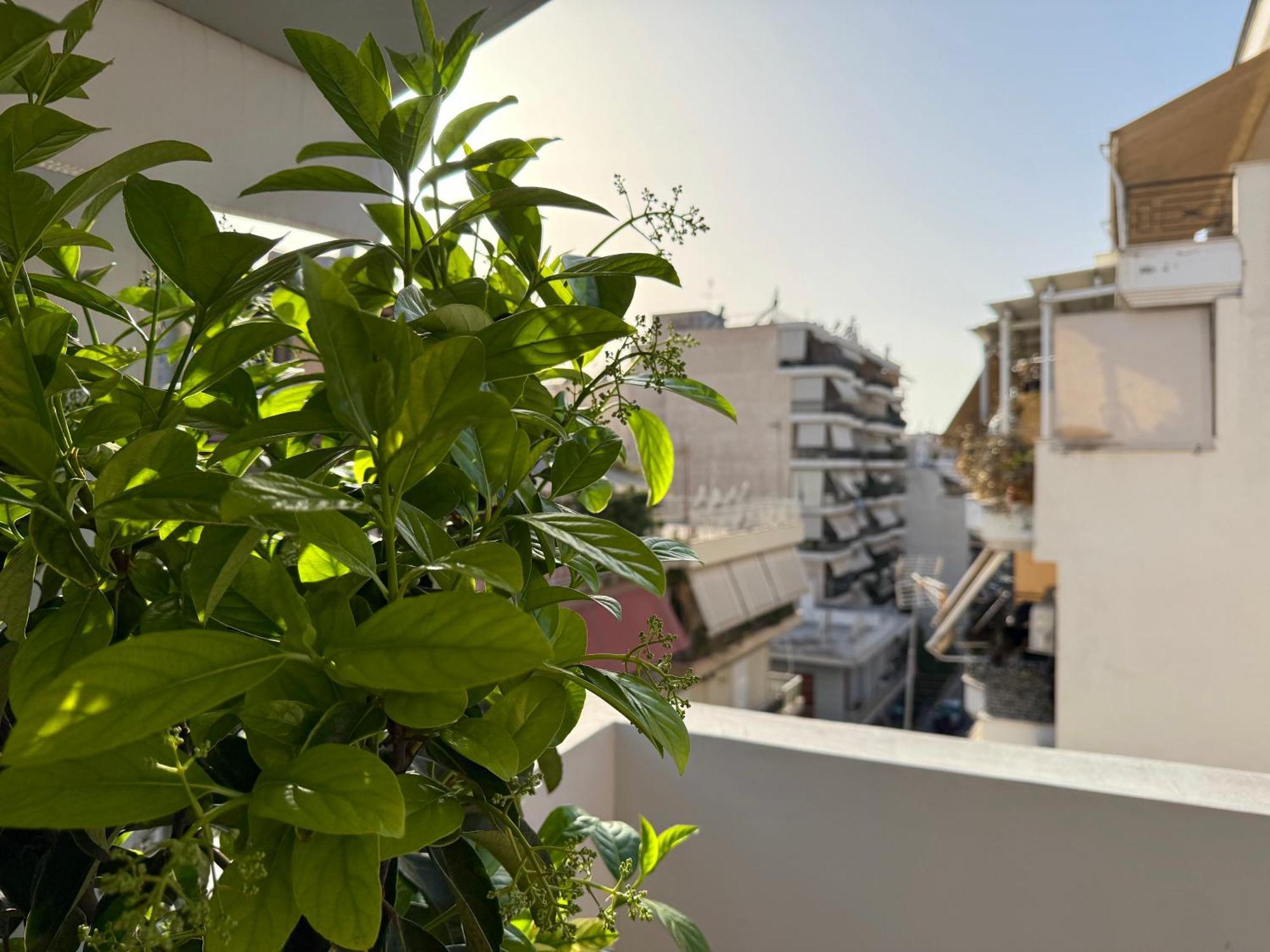 P&P Boutique Apartments Atenas Exterior foto